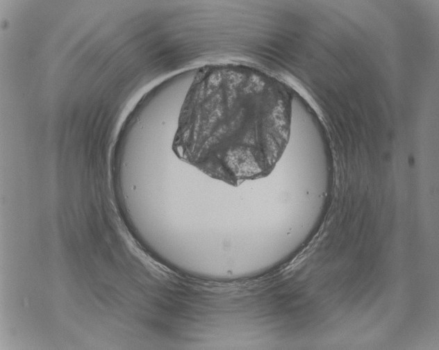 X0000072551124200608041641