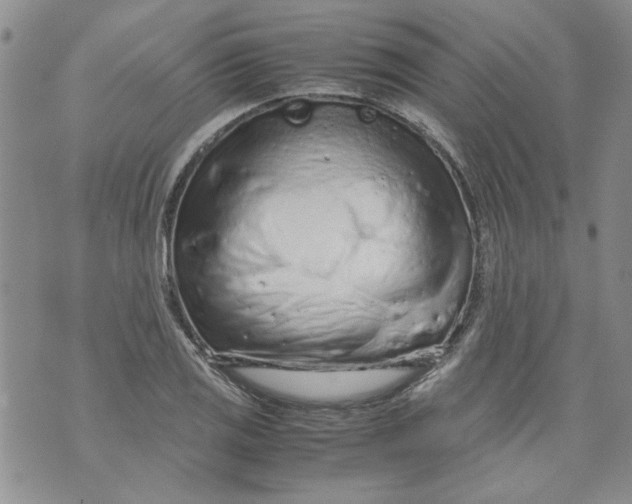 X0000072551125200608041641