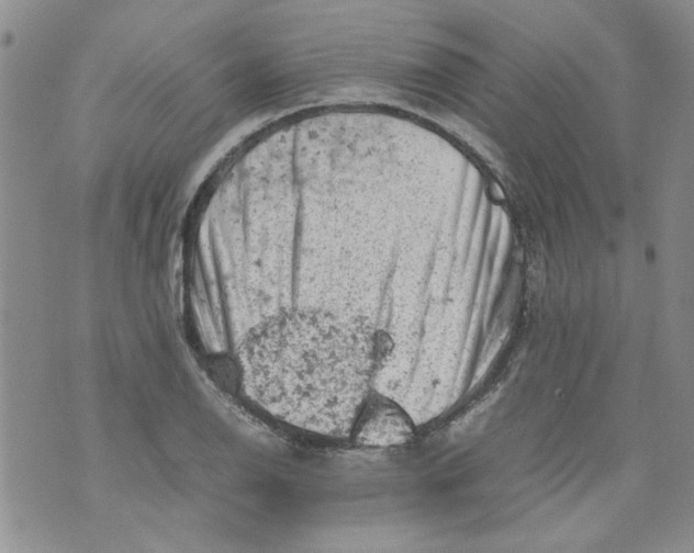 X0000072551126200608041641