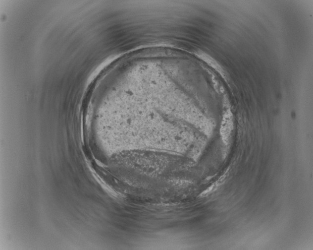 X0000072551127200608041641