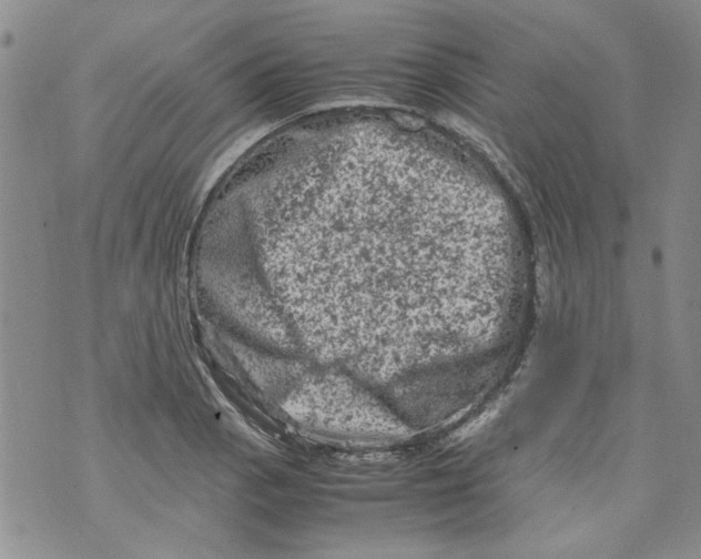 X0000072551129200608041641