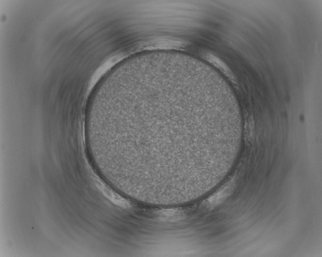 X0000072551130200608041641