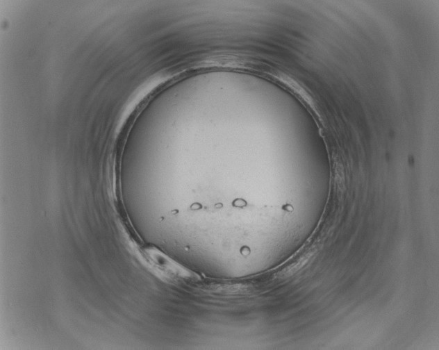 X0000072551131200608041641