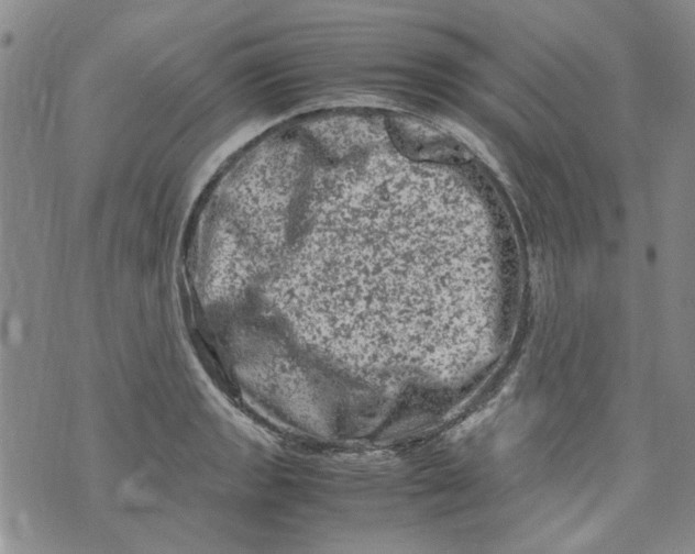 X0000072551133200608041641