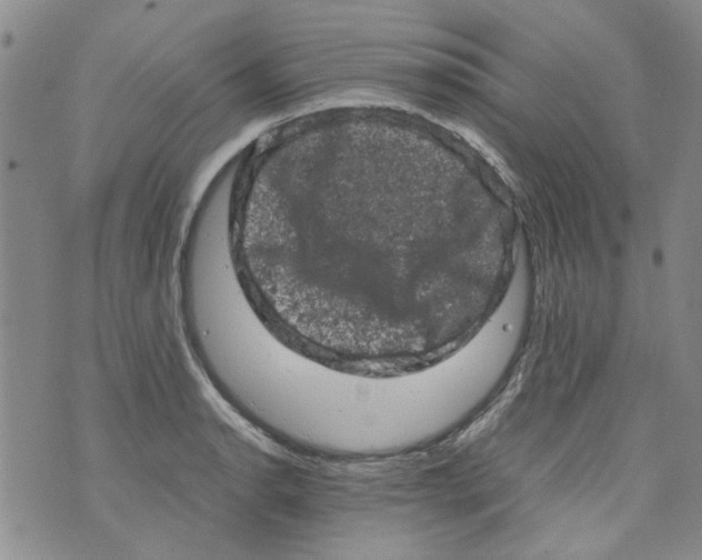 X0000072551134200608041641