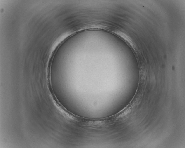 X0000072551135200608041641