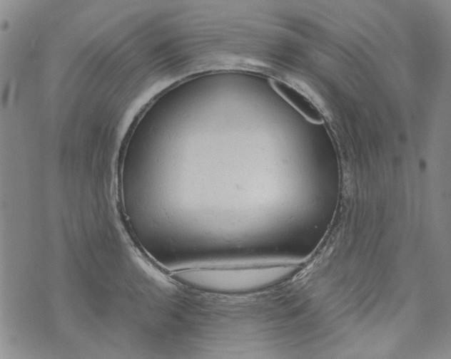 X0000072551136200608041641