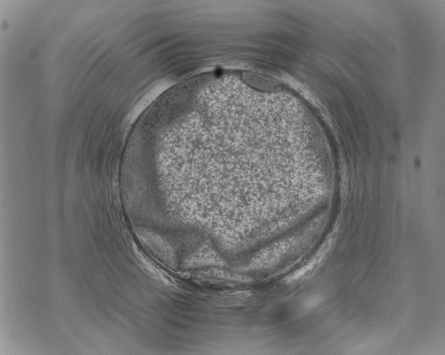 X0000072551137200608041641