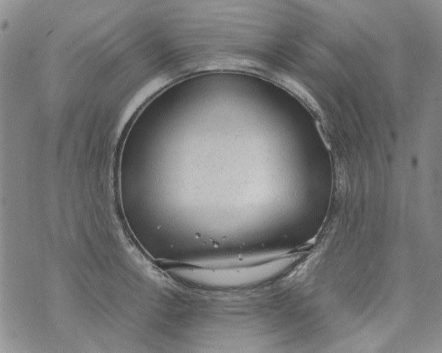 X0000072551138200608041641