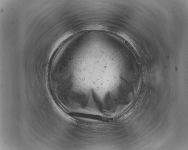 X0000072551139200608041641