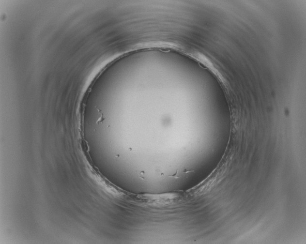 X0000072551140200608041641