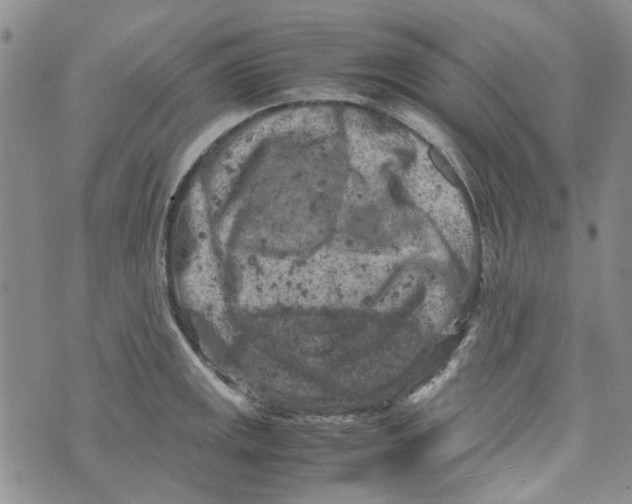 X0000072551141200608041641