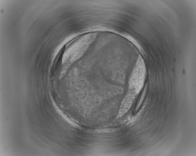 X0000072551142200608041641