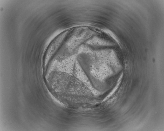 X0000072551143200608041641