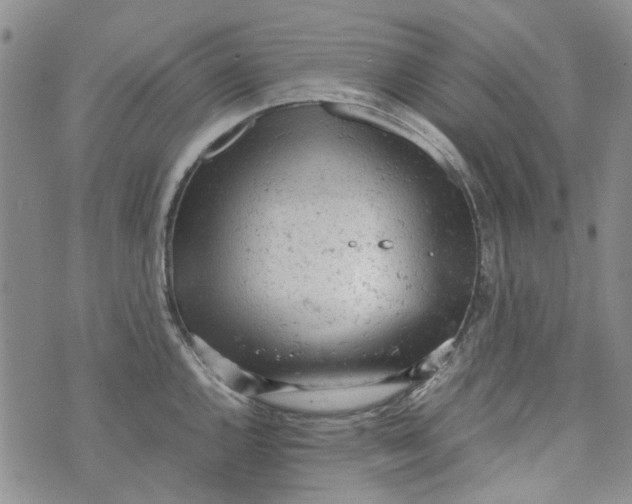 X0000072551144200608041641