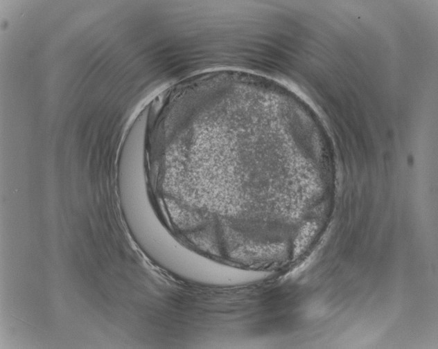 X0000072551145200608041641