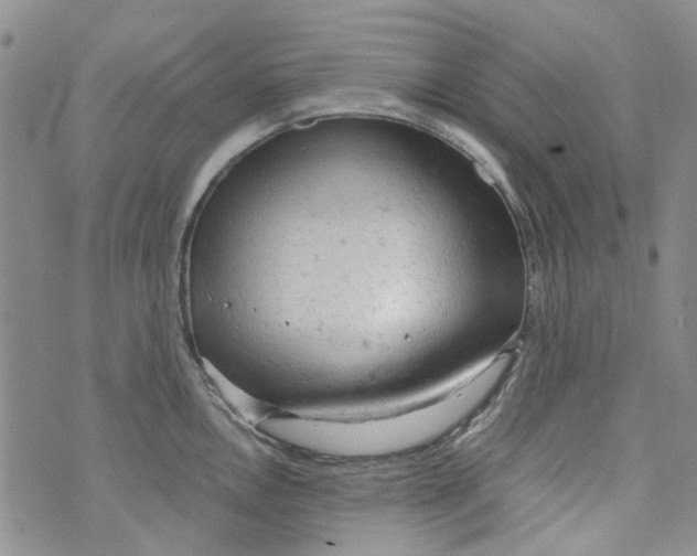 X0000072551146200608041641