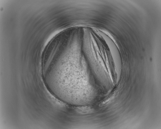 X0000072551147200608041641