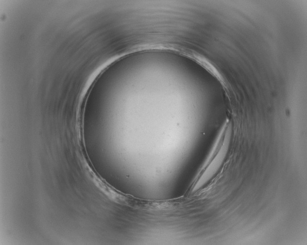 X0000072551148200608041641