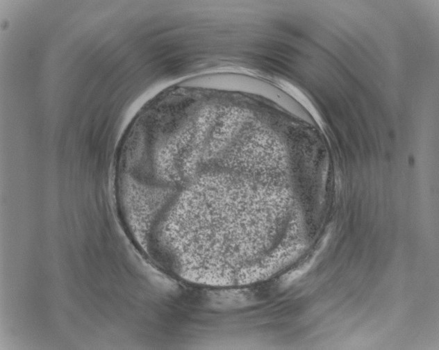 X0000072551149200608041641