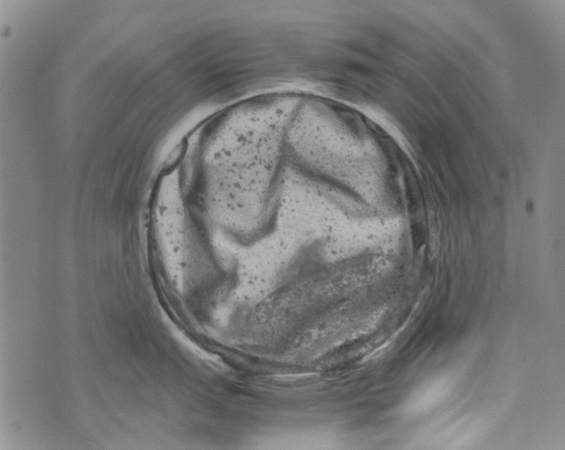 X0000072551151200608041642