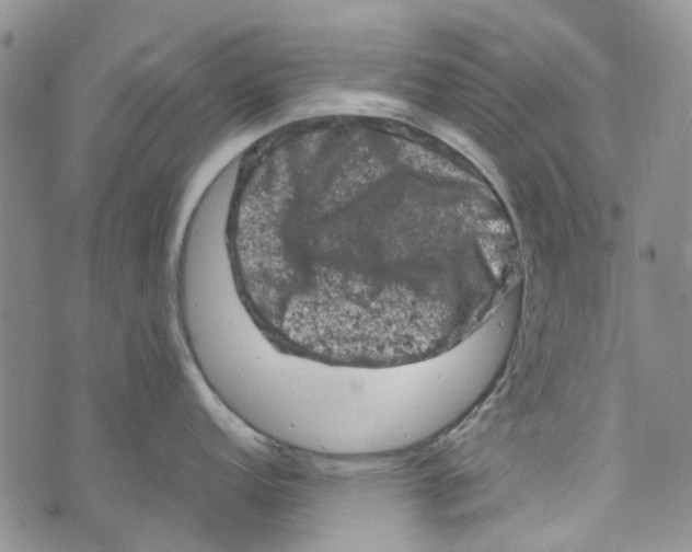 X0000072551152200608041642