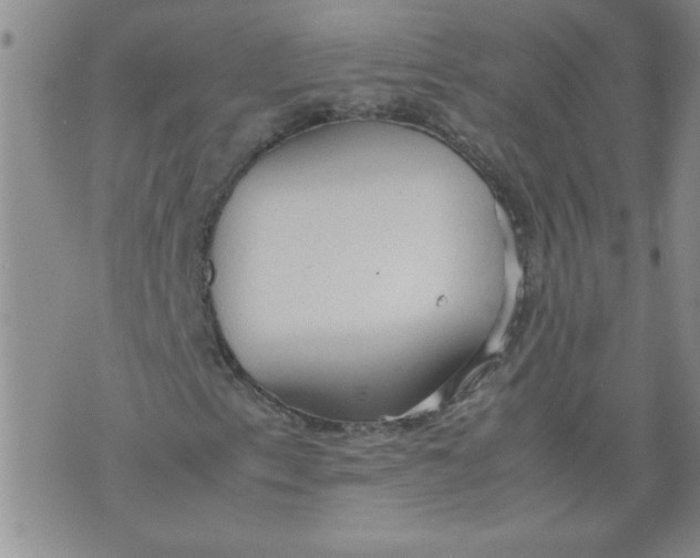 X0000072551153200608041641