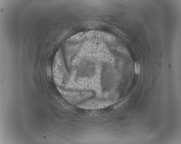 X0000072551155200608041641