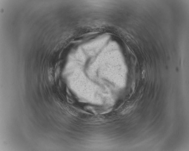 X0000072551156200608041641