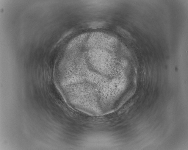 X0000072551158200608041641