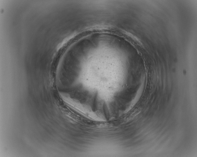 X0000072551160200608041641