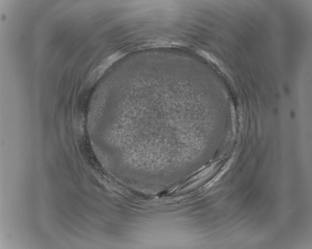 X0000072551161200608041641