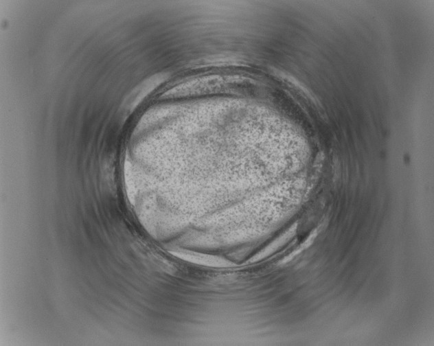 X0000072551162200608041641