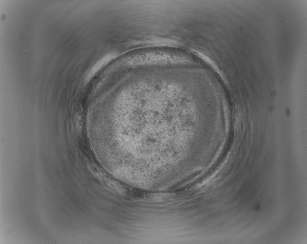 X0000072551163200608041641