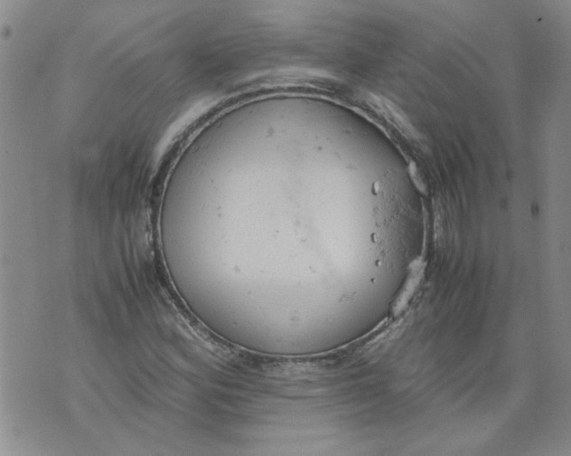 X0000072551164200608041641