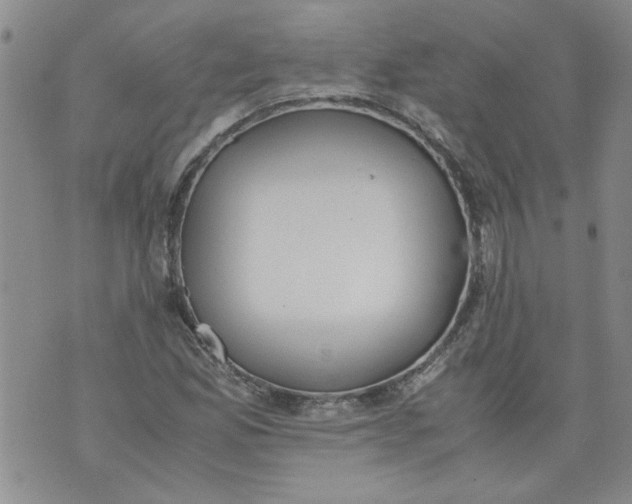 X0000072551165200608041641