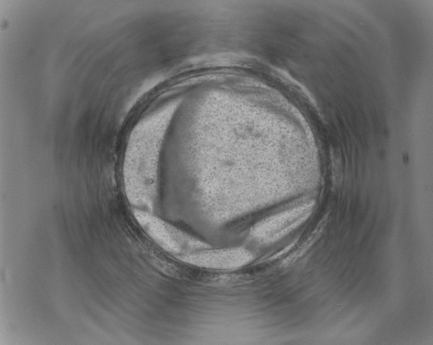 X0000072551166200608041641