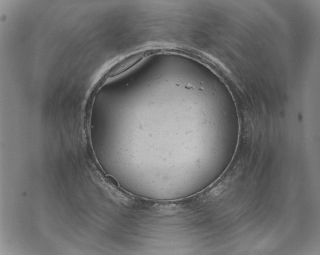 X0000072551168200608041641