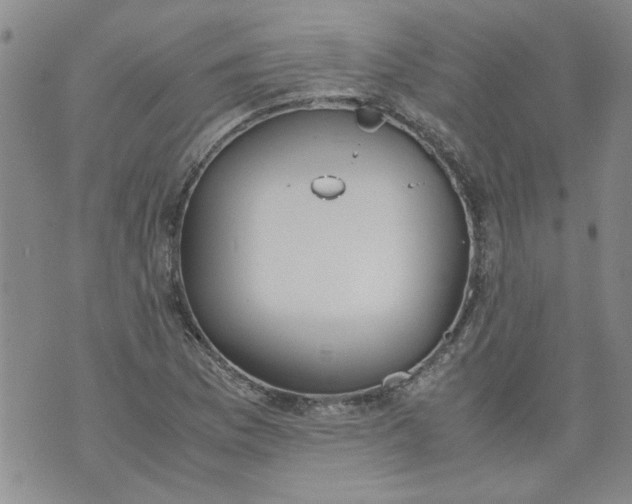 X0000072551169200608041640