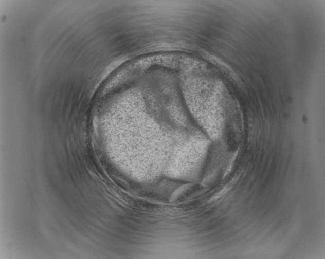 X0000072551170200608041640