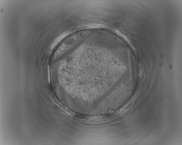 X0000072551171200608041640