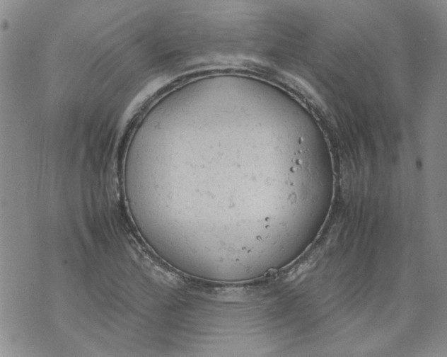 X0000072551172200608041640