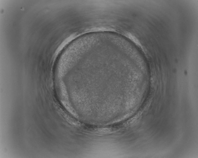 X0000072551173200608041640