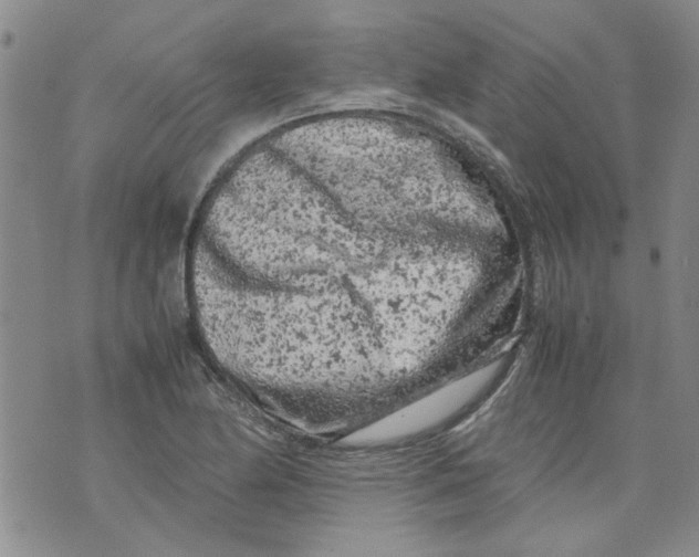 X0000072551174200608041640