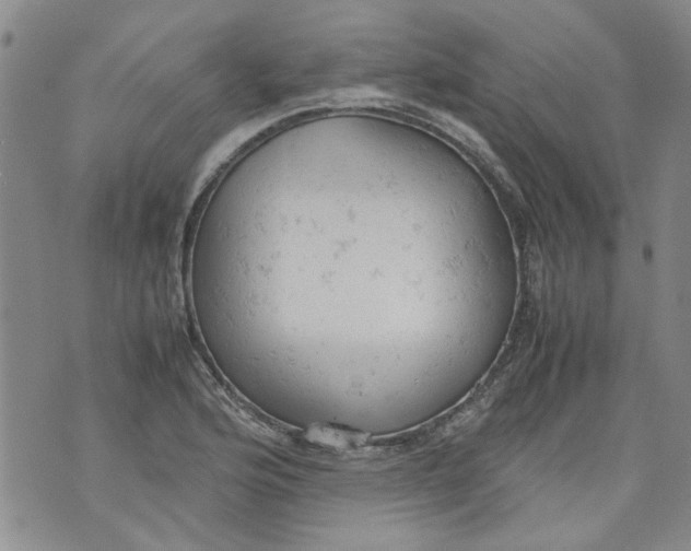 X0000072551176200608041640