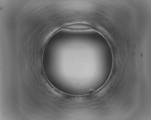 X0000072551177200608041640