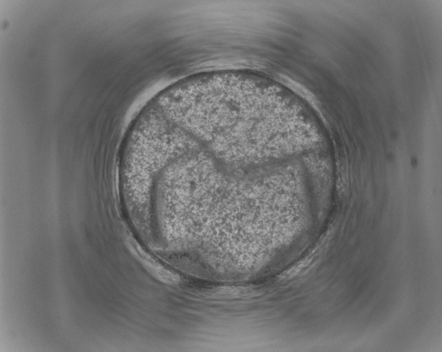 X0000072551179200608041640