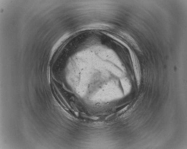 X0000072551180200608041640