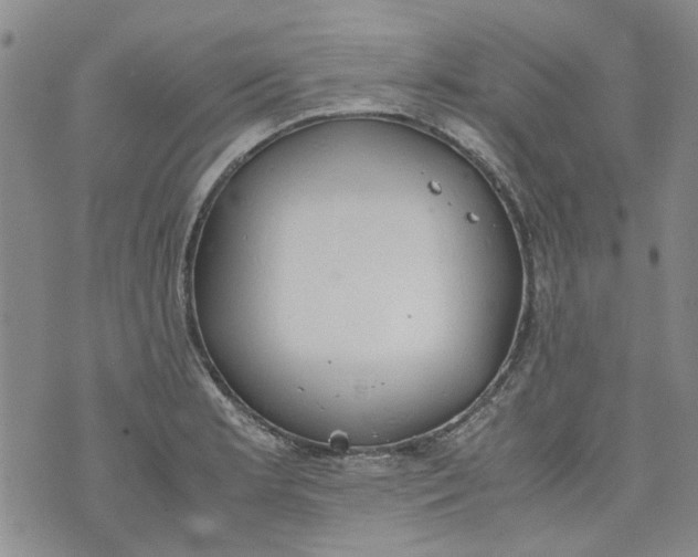 X0000072551181200608041640