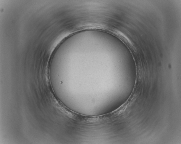 X0000072551182200608041640